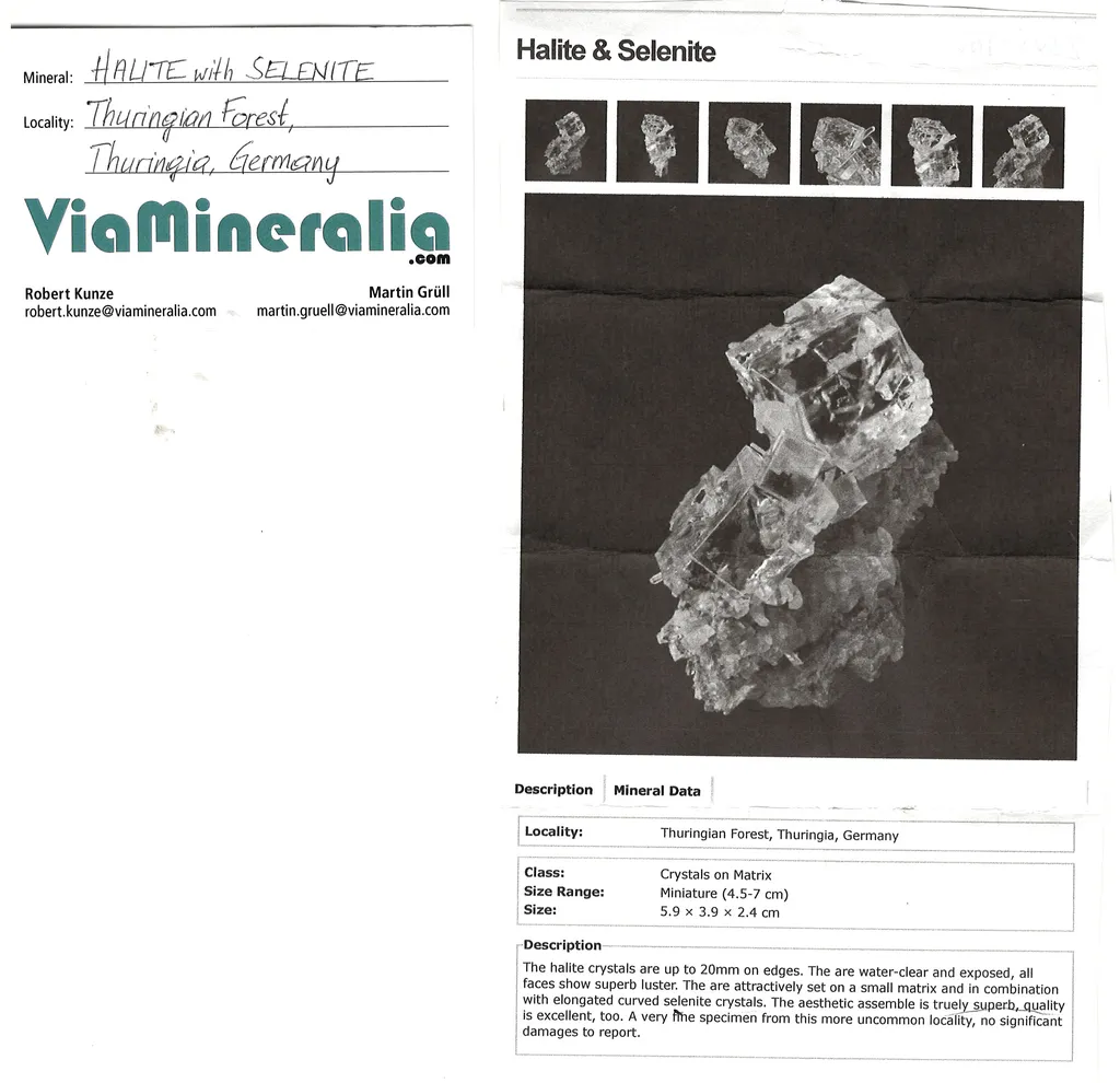 Halite with Gypsum - image 5