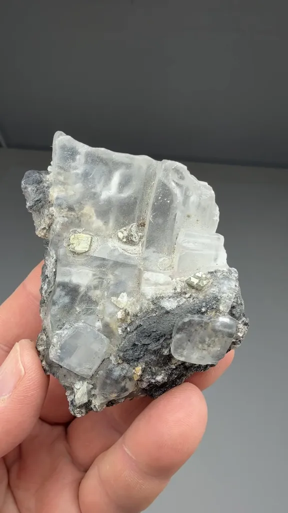 Halite with Pyrite - image 2