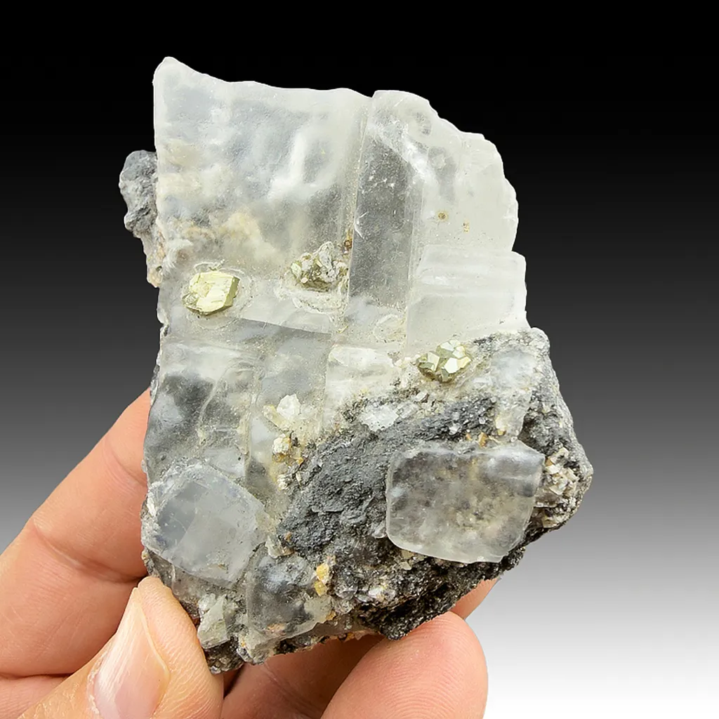 Halite with Pyrite image