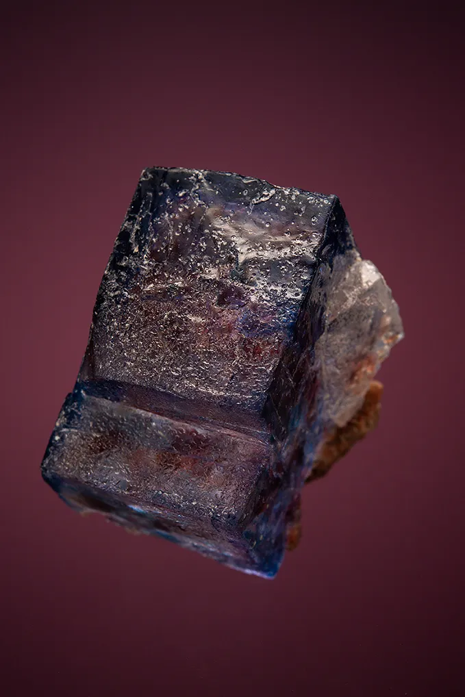Halite with Sylvite image