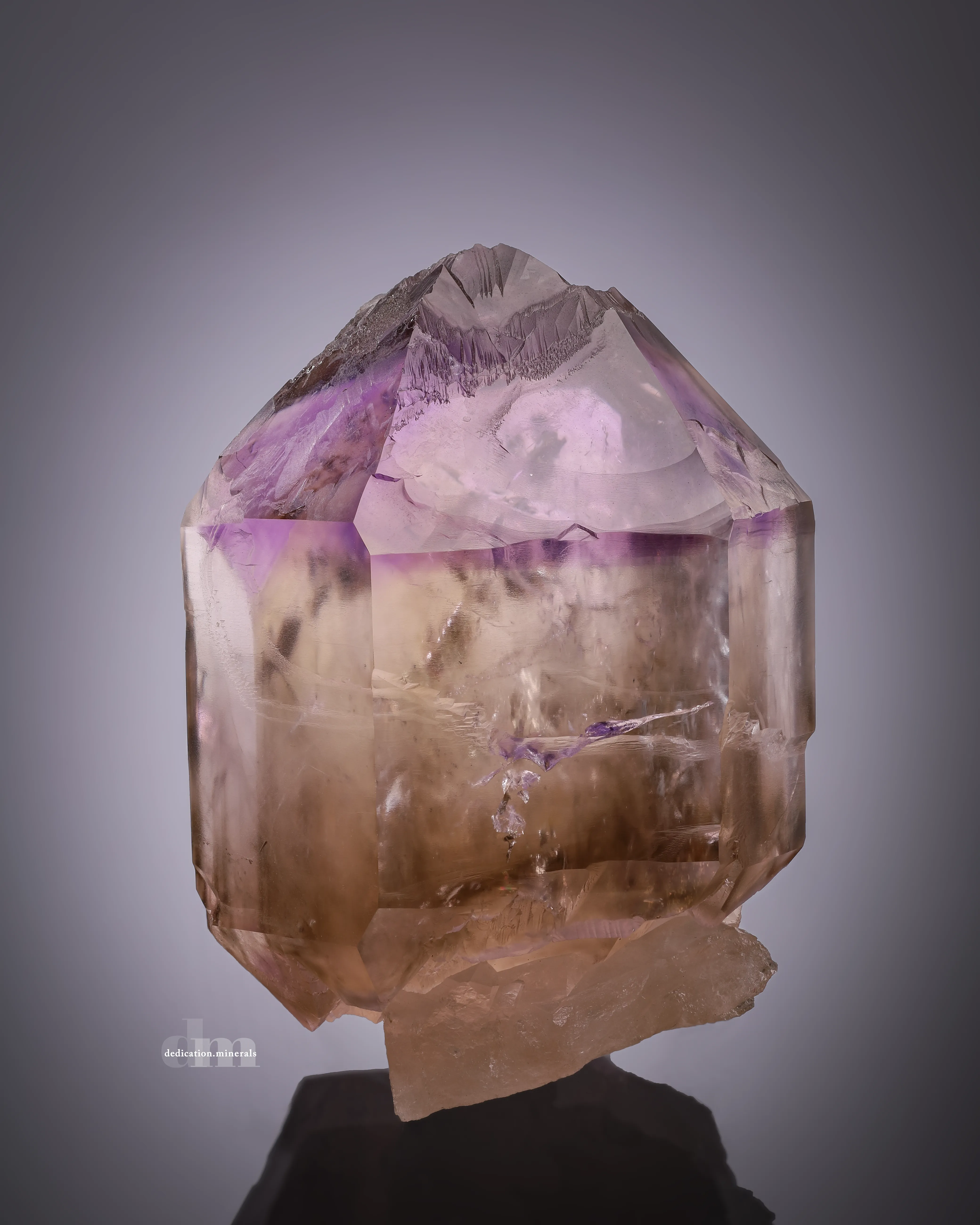 Hallelujah Junction Smoky Amethyst Scepter - image 1