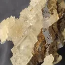 specimen video