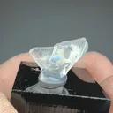 Hambergite - image 2