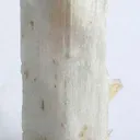Hambergite - image 2