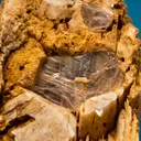 Hambergite - image 2
