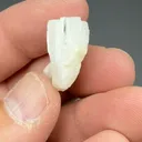 Hambergite - image 2