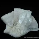 Hambergite (Cyclic Twin) and Albite - image 1