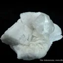 Hambergite (Cyclic Twin) and Albite - image 2