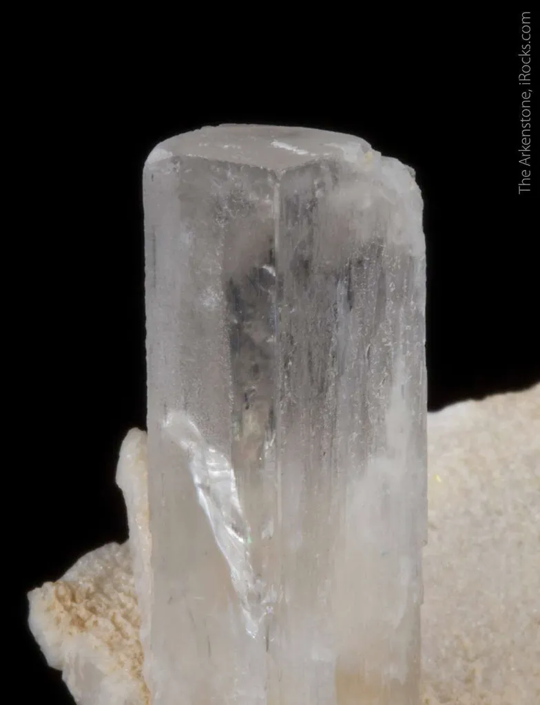Hambergite on Albite - image 2