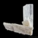 Hambergite on Albite - image 5