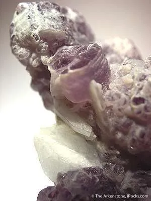 Hambergite on Lepidolite - image 2