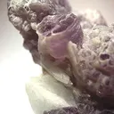 Hambergite on Lepidolite - image 2