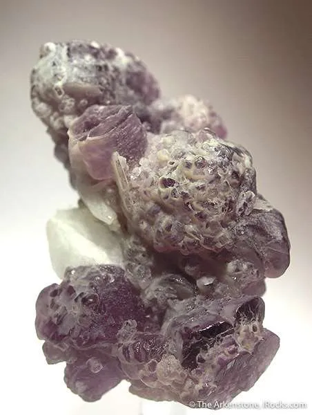 Hambergite on Lepidolite image