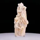 specimen video