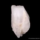 Hambergite (twinned) with Quartz - image 3
