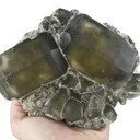 Hanksite - image 4