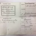 Hauchecornite (Type Locale) on Millerite - 1884 find - image 6