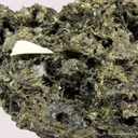 Hauchecornite (Type Locale) on Millerite - 1884 find - image 5