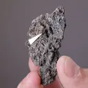 HAUCHECORNITE with Millerite - image 2