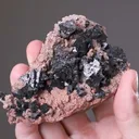 Hausmannite on Andradite - image 2