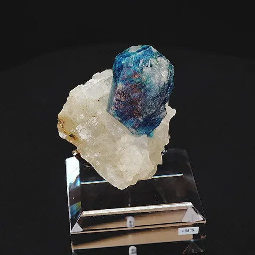 specimen video