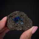 Haüyne in Basalt pocket - image 2