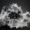 Hübnerite with Quartz - image 1