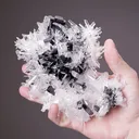 Hübnerite with Quartz - image 2