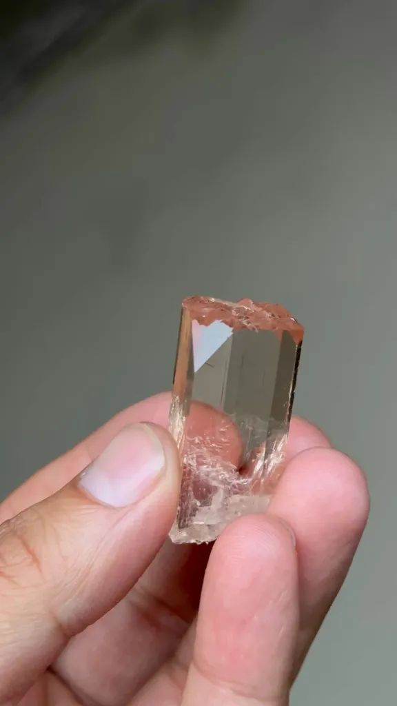 specimen video