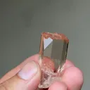 specimen video