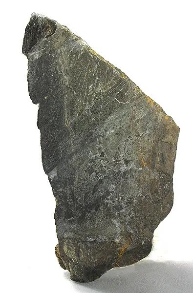 Hedenbergite image