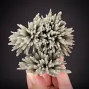 Hedenbergite included Quartz - image 2