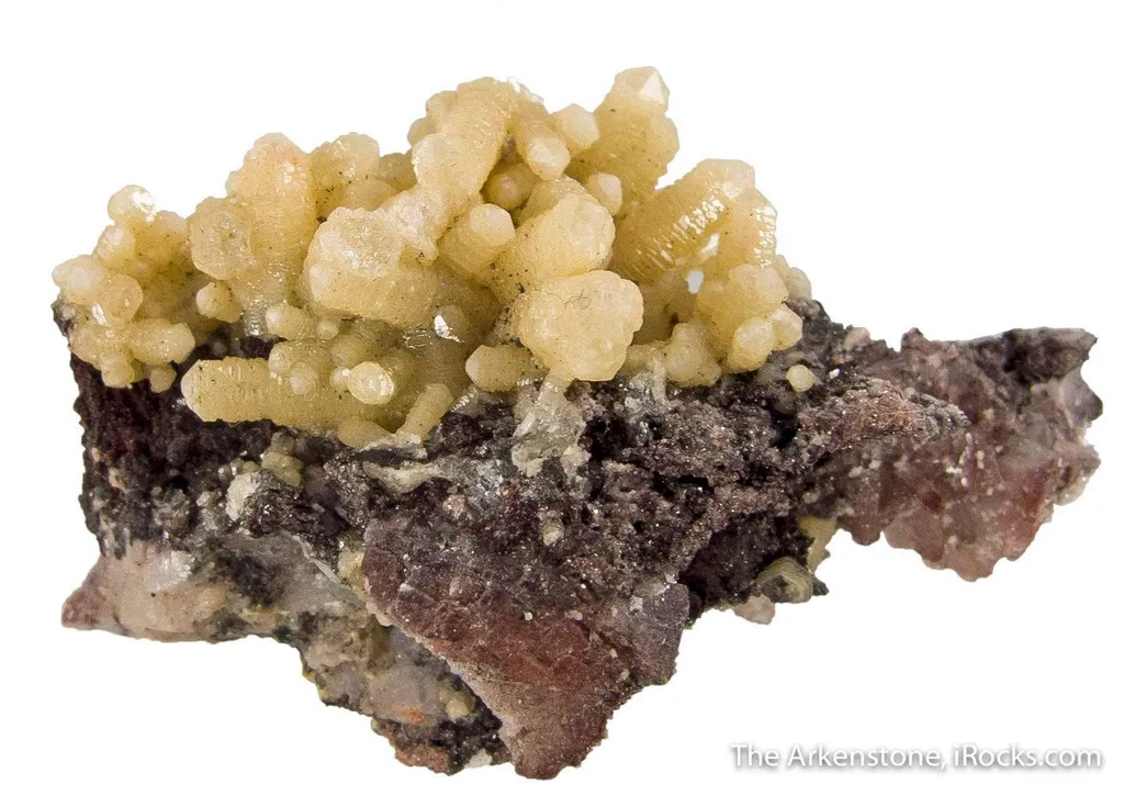 Hedyphane image