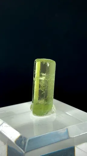 specimen video