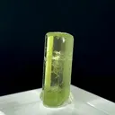 specimen video