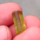 specimen video