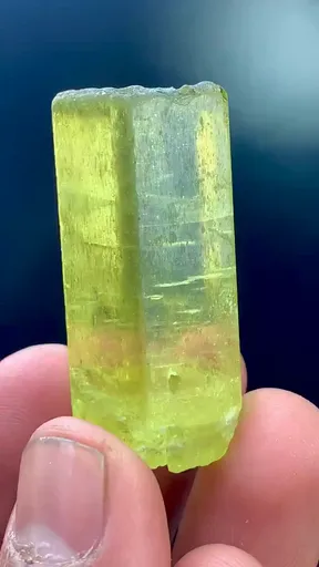specimen video