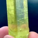 specimen video