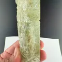 specimen video