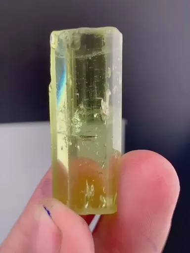 specimen video
