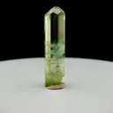 specimen video