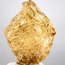 specimen video