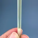 specimen video
