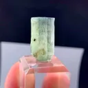 specimen video