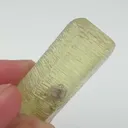 specimen video