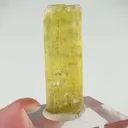 specimen video