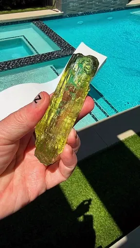 specimen video