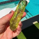 specimen video