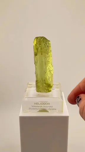specimen video