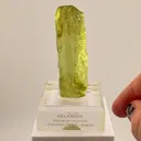specimen video